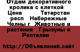 Отдам декоративного кролика с клеткой › Цена ­ 100 - Татарстан респ., Набережные Челны г. Животные и растения » Грызуны и Рептилии   